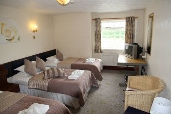 The Stuffed Dormouse Hotel Newport  Exterior foto